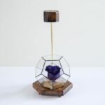 رز جاودان مکعبی