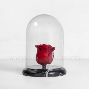 گل رز جاودان سنگ قرمز - گلفروشی آنلاین VIP Shop