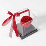 گل رز جاودان R11 - Image 3