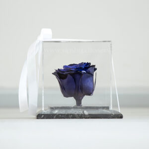 رز جاودان سنگ مربعی آبی- گلفروشی آنلاین VIP Shop