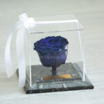 گل رز جاودان R16 - Image 2