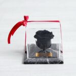 گل رز جاودان R05 - Image 3