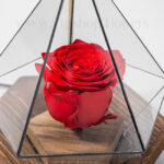 گل رز جاودان نور دار