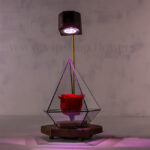 رز جاودان همراه با لامپ مخصوص