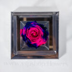 رز جاودان با رنگ لاکچری