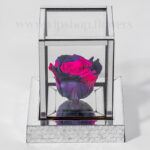 رز جاودان با دیزاین متفاوت