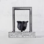 رز جاودان سرمه ای