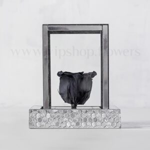 رز جاودان سرمه ای