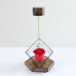 قیمت رز جاودان قرمز