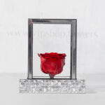 رز جاودان کوچک