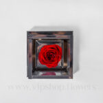 رز جاودان هدیه ای کوچک و زیبا