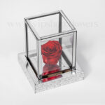 رز جاودان در شیشه کوچک