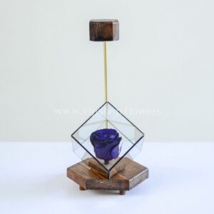 گل رز جاودان ارزان