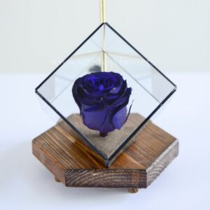 رز جاودان کف سنگی