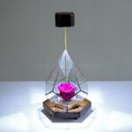 گل رز جاودان با نور