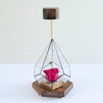 رز جاودان صورتی و بنفش چراغ دار