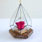 رز جاودان صورتی با نور