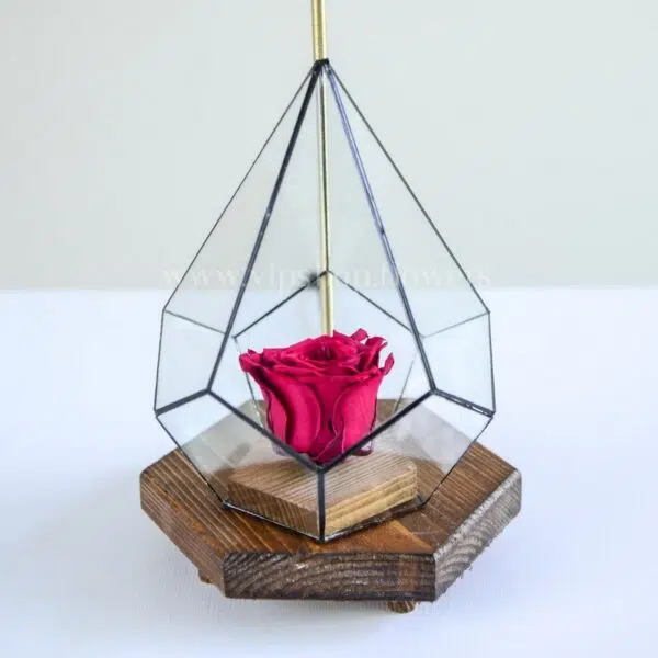 رز جاودان صورتی با نور