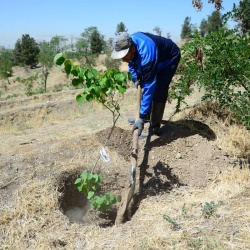 خاک ریزی نهایی گودال