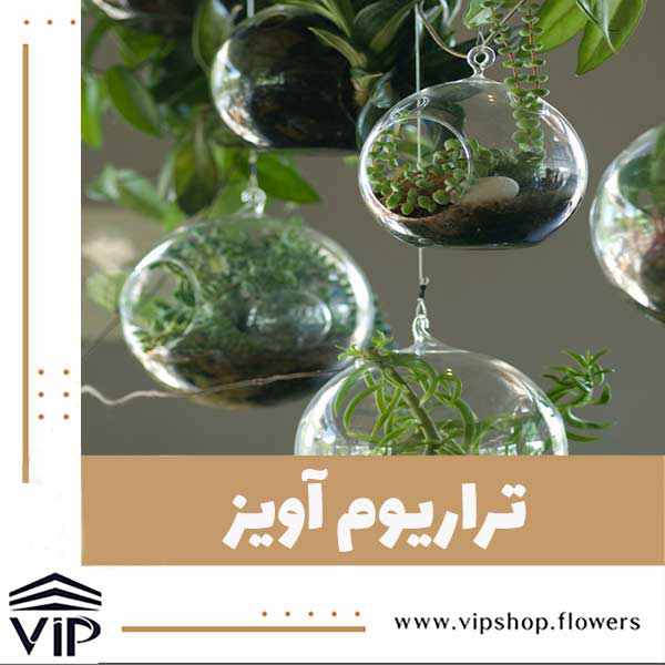 تراریوم - vip shop