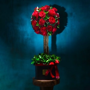 اسماعیل کالی اولات