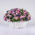 سبد گل رنگارنگ لیسیانتوس (18)