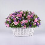 سبد گل رنگارنگ لیسیانتوس (20)