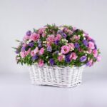 سبد گل رنگارنگ لیسیانتوس (24)