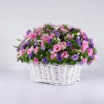 سبد گل رنگارنگ لیسیانتوس (25)