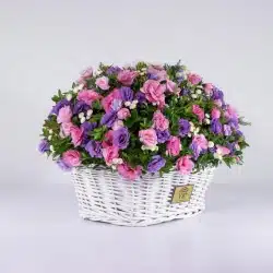 خرید اینترنتی لیسیانتوس