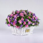 سبد گل رنگارنگ لیسیانتوس (35)