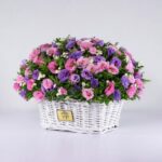 سبد گل رنگارنگ لیسیانتوس (6)