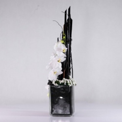 باکس شیشه ای ارکیده (11)