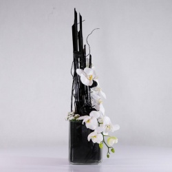 باکس شیشه ای ارکیده (28)