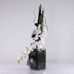 باکس شیشه ای ارکیده (6)