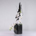 باکس شیشه ای ارکیده (7)