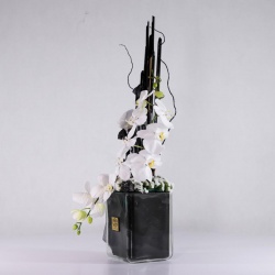 باکس شیشه ای ارکیده (7)