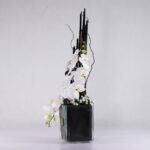 باکس شیشه ای ارکیده (8)