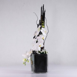 باکس شیشه ای ارکیده (8)