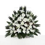 سبد ترحیم F49 لیلیوم آنتوریوم بزرگ - گلفروشی آنلاین VIP Shop