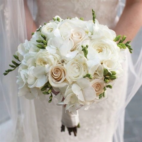 گل عروس سفید