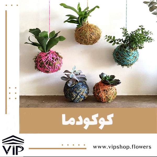 کوکودما؛ گیاهان آویز