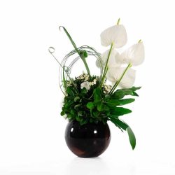 گل ترحیم F51 - 35