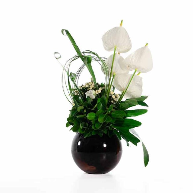 گل ترحیم F51 - 37