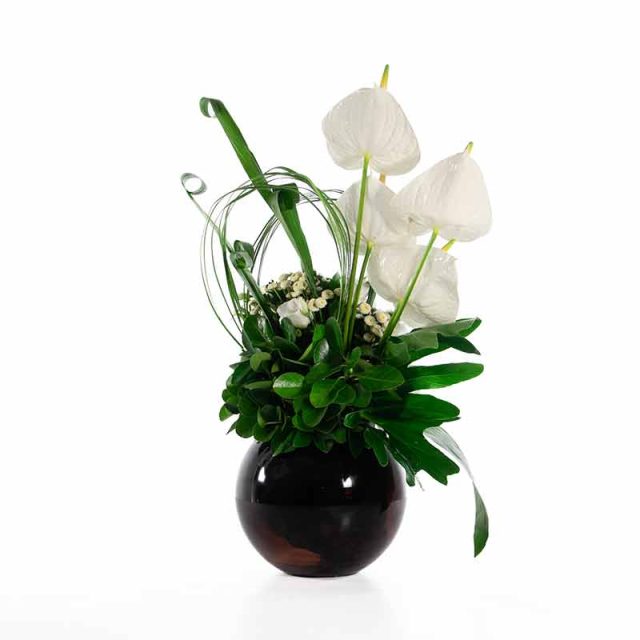 گل ترحیم F51 - 38