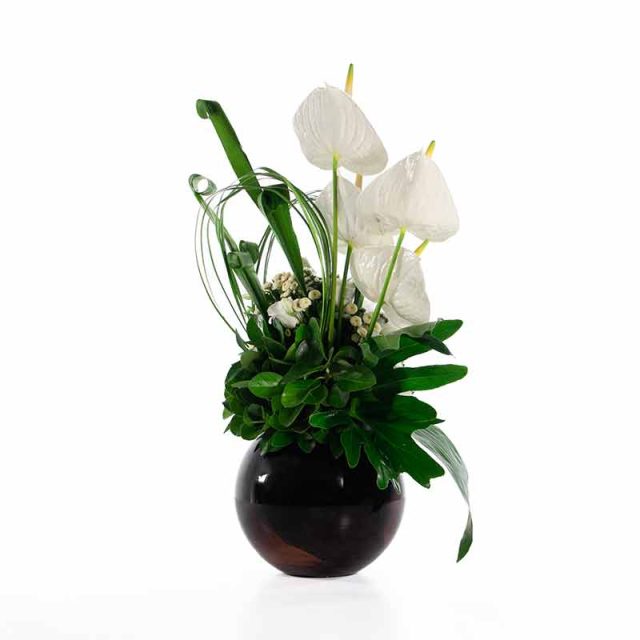 گل ترحیم F51 - 40