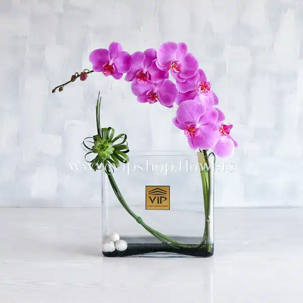 باکس گل شیشه ای لاکچری