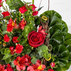 جعبه گل طلایی رز آلستر