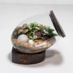 تراریوم TR03 - Image 2