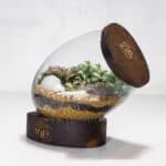 تراریوم TR03 - Image 3